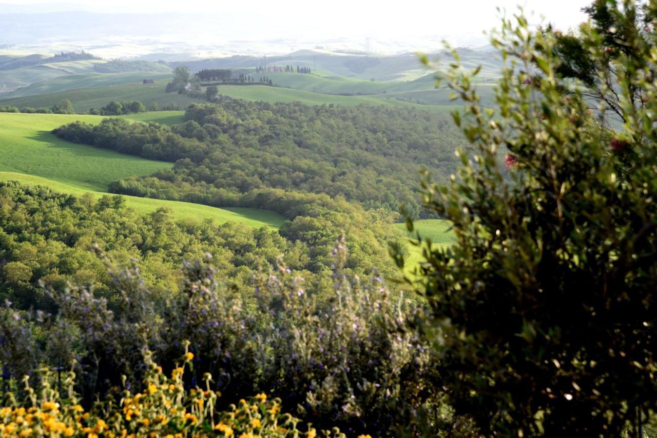 Villa Ginevra-Villa Indipendente-Crete Senesi-Tuscany Siena Ngoại thất bức ảnh