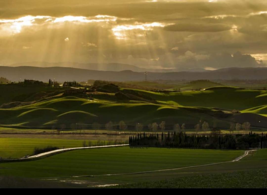 Villa Ginevra-Villa Indipendente-Crete Senesi-Tuscany Siena Ngoại thất bức ảnh
